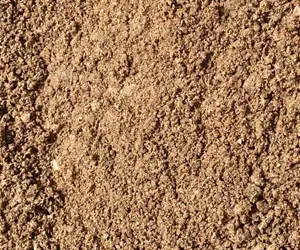 sand-300x250 sand-300x250