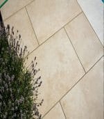 Rosa Almond 600x900 - Image 3